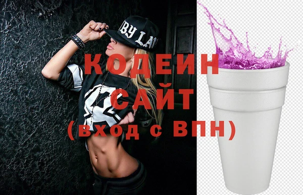 прущие грибы Елабуга