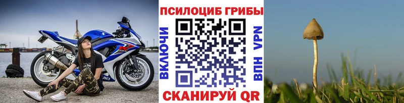Галлюциногенные грибы GOLDEN TEACHER  Жердевка 